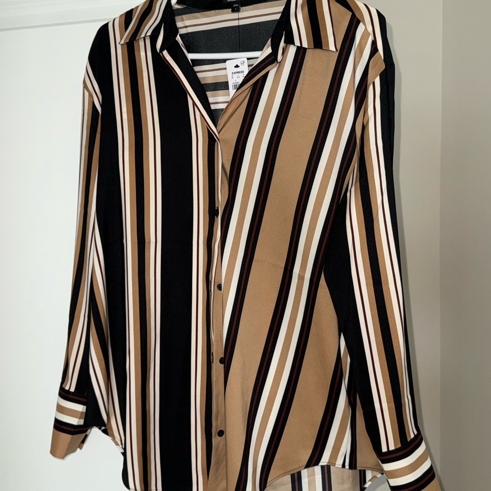 Express Multicolor Striped Shirt